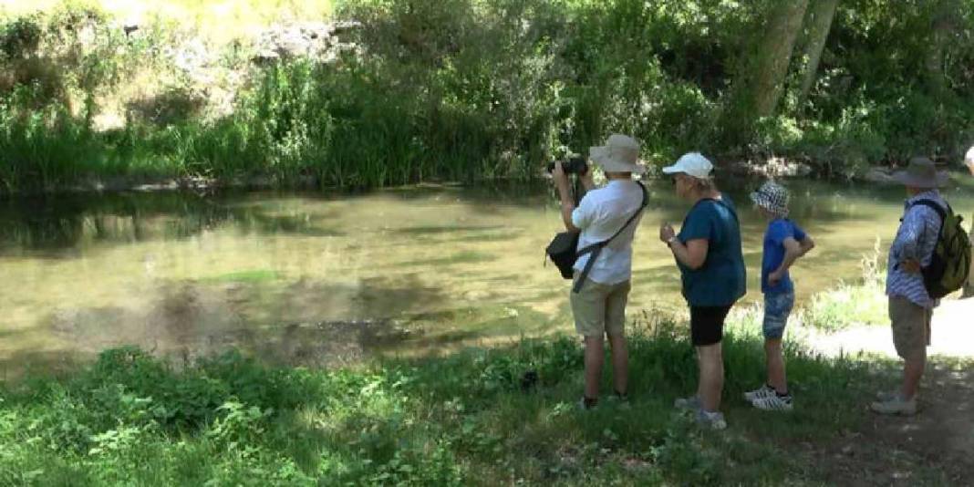 Dünyanın en büyük 2’ncisi! Türkiye’de bulunuyor, gören hayran kalıyor: Yerli yabancı herkes buraya akın ediyor 5